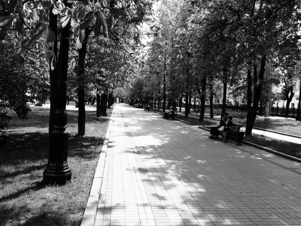 Scenic trail surrounded by nature inside a public park in the city centre of Rome, Italy