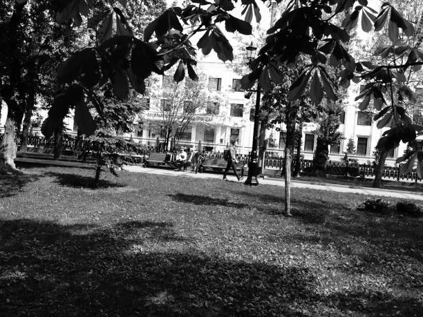 Stroll through a tree lined park in Spain in black & white