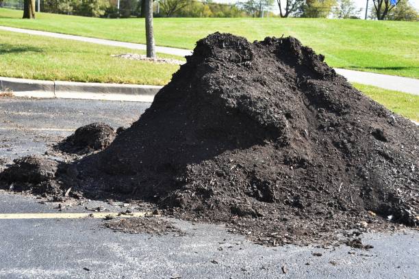 istock Pile of Dirt 1148225652