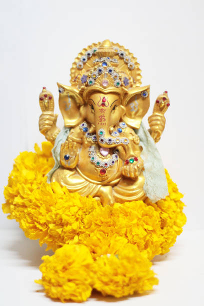 Gold Ganesha Statue god is the Lord of Success God of Hinduism on Marigold flowers Isolated on white background. Gold Ganesha Statue god is the Lord of Success God of Hinduism on Marigold flowers Isolated on white background. ganesha god thailand india stock pictures, royalty-free photos & images