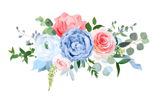 ilustrações de stock, clip art, desenhos animados e ícones de wedding seasonal flowers. floral composition. - hydrangea white flower flower bed