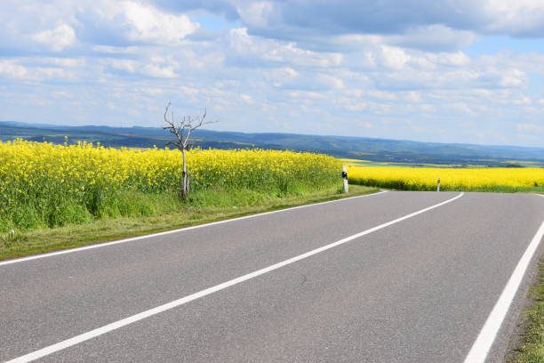 istock country roads through yellow fields 1148233926