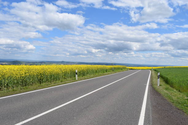 istock country roads through yellow fields 1148234029