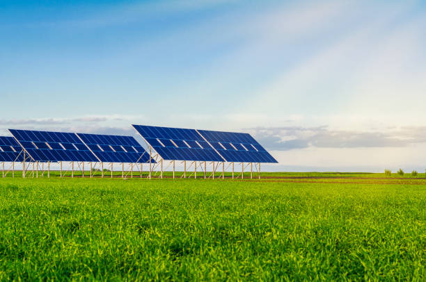 istock Solar panels in a field on green grass. Environmentally friendly 1148236415