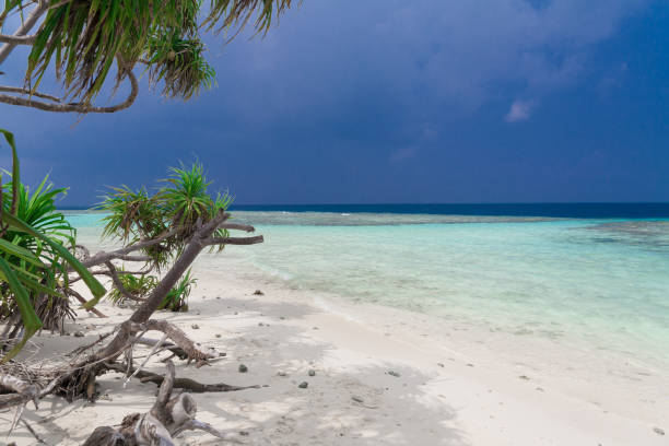 istock Maldives,  tropical sea background 1148243505