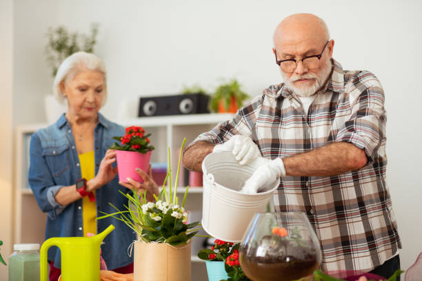 bel uomo anziano che tiene in mano un secchio bianco - planting clothing gray hair human age foto e immagini stock