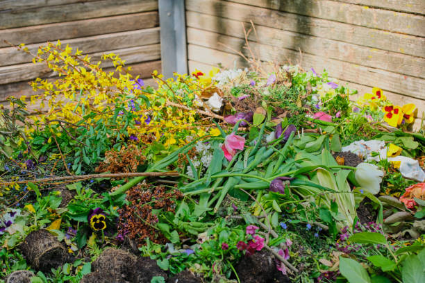 istock organic waste on a cemetery 1148249080