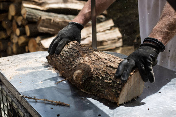 istock Man cutting and sawing a log in his back yard 1148250233