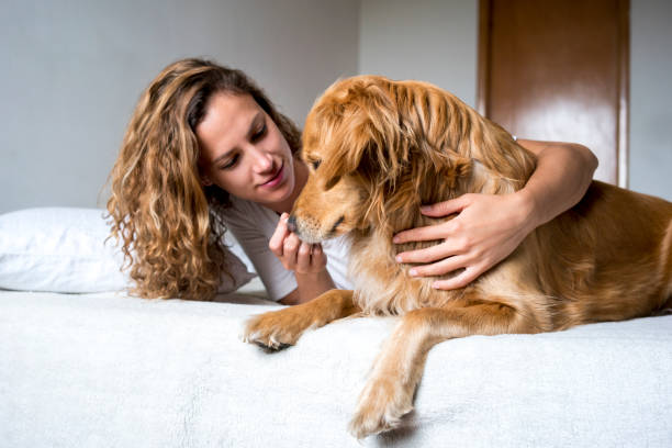 istock Woman playing with her pets 1148250615