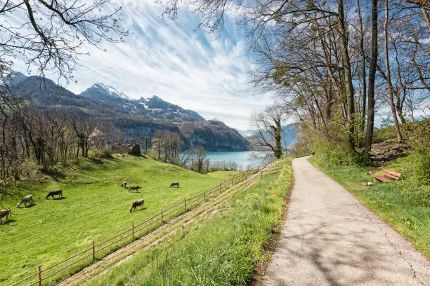 Lake Walensee is a lake in the eastern foothills of the Alps in Switzerland and lies in the cantons of St. Gallen and Glarus. The area around the lake is a popular destination for hikers and nature lovers.