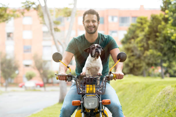 フラワーシャツの中のラテンの男は彼のペットの犬雌犬を取る黒と白の雄牛犬は彼の黄色のオートバイに乗る - bitch ストックフォトと画像