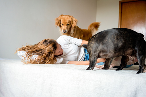 Young Caucasian woman, blond hair, curly, lying on the bed at home, playing with her pets, while laughing and enjoying the moment