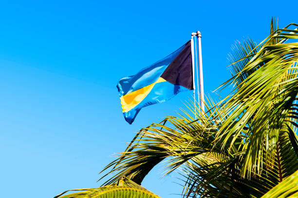 National Bahama flag and palm tree, clear blue sky National Bahama flag and palm tree, clear blue sky bahamas photos stock pictures, royalty-free photos & images