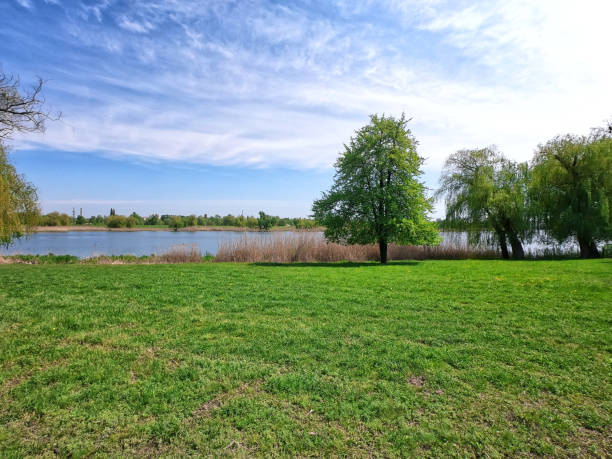 istock Green meadow by the lake in summer 1148260715
