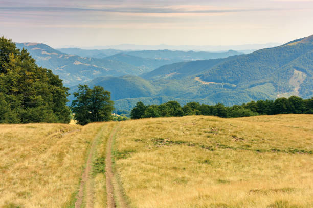 istock country road through grassy meadow in mountains 1148264686