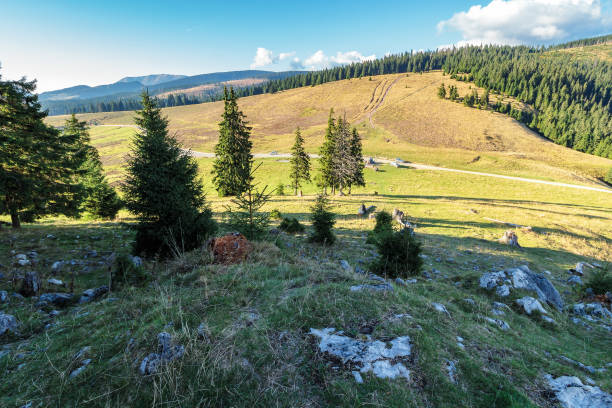 istock evening scenery of apuseni national park 1148265574