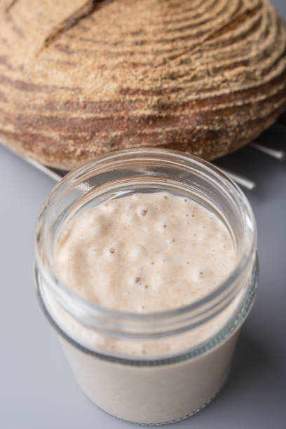 istock Sourdough starter yeast in a jar 1148266044