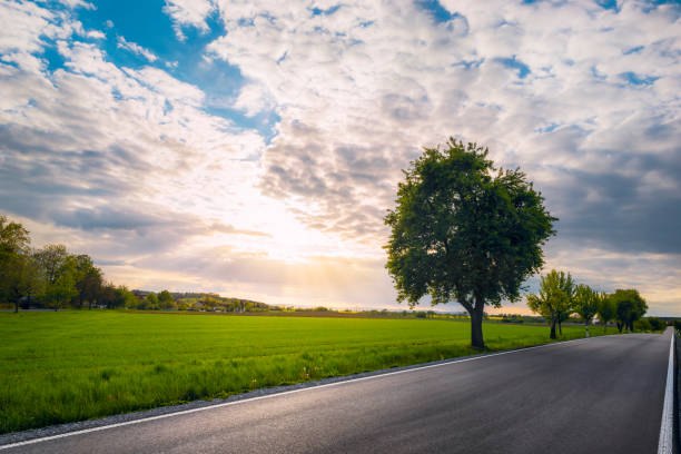 istock Sunset over empty road and green nature 1148273072