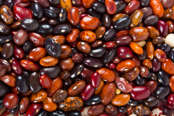 Background of dry beans, south american frijoles.