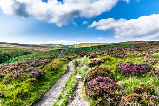 haworth болота. йоркшир - pennines стоковые фото и изображения