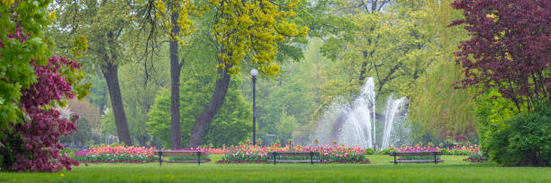 It is raining in the park. The Garden Society of Gothenburg is one of the best-preserved 19th century parks in Europe. Free entrance, park is owned by the city of Gothenburg.
