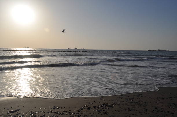 istock The beautiful natural sea landscape 1148278472