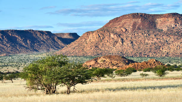 istock Beautiful Namibian landscape. 1148280491