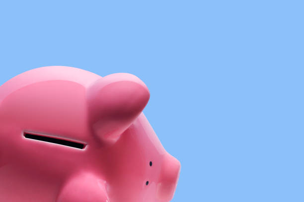istock Pink Piggy Bank On Blue Background 1148281118