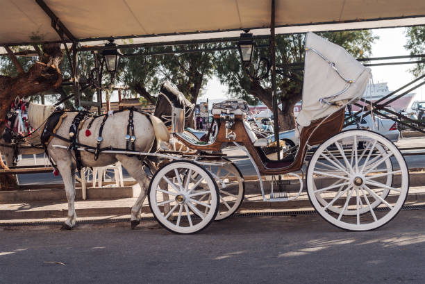 istock horse in harness with a walking carriage on the pier 1148281300