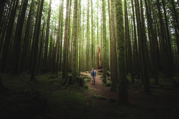 man hiking in british columbia