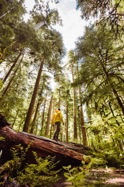 istock freedom man in the washington state 1148281452