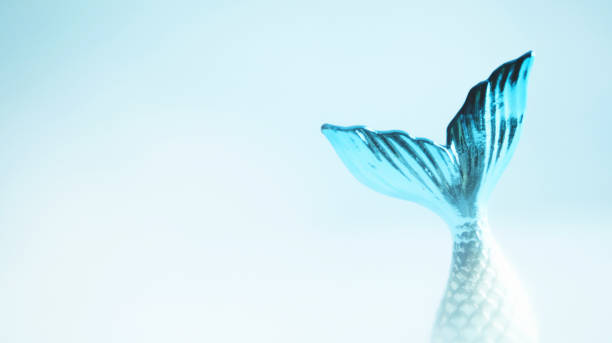 青い背景を持つマーメイドフィン - 人魚 ストックフォトと画像