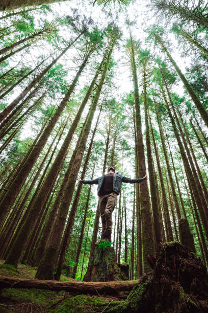 istock freedom man in the washington state 1148281530