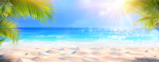 istock Sunny Tropical Beach With Palm Leaves And Paradise Island 1148283666