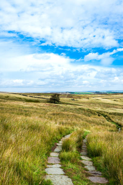 la lande de haworth. yorkshire - haworth photos et images de collection