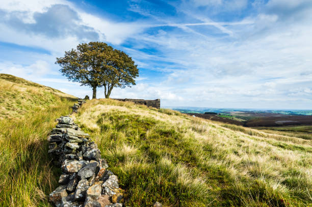 Top Withins. Haworth moor. Yorkshire