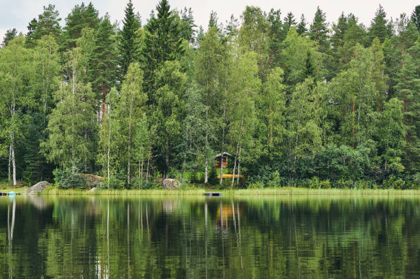 istock Beautiful finnish landscape, matte style. 1148295563