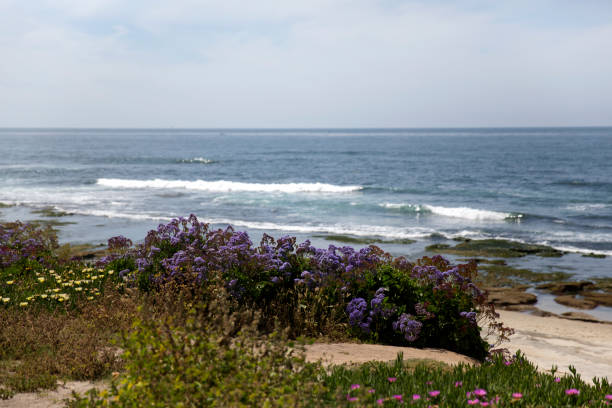 istock La Jolla in San Diego 1148296502