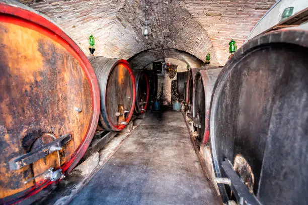 Wide angle closeup of many wooden antique old colorful red orange wine barrels in Italy cellar with nobody