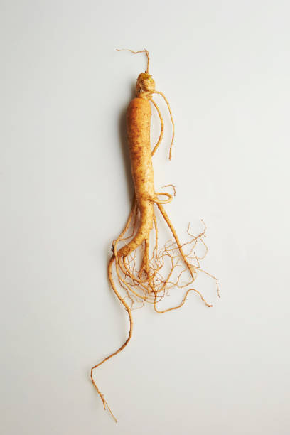 ginseng - ginseng fotografías e imágenes de stock