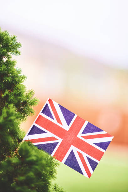 istock Vibrant British Union Jack flag in summer sunshine 1148309537