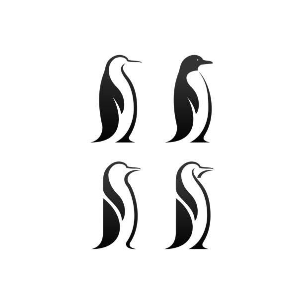 penguin bird vector logo penguin bird vector logo, arctic animal symbol penguin stock illustrations