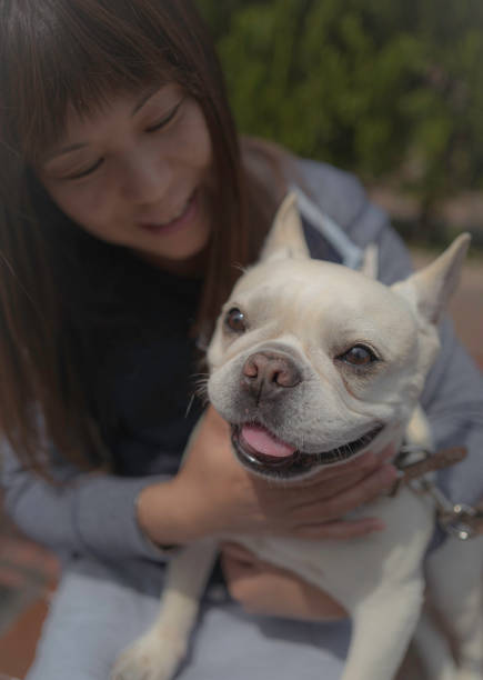 istock Playing time with french bulldog 1148315443