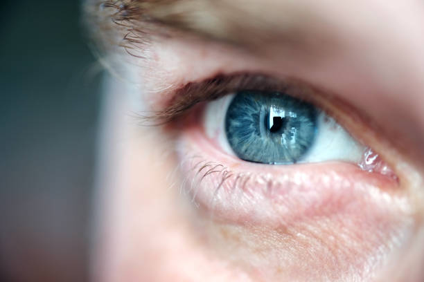 глаз взрослый мужчина крупным планом - human eye men close up macro стоковые фото и изображения