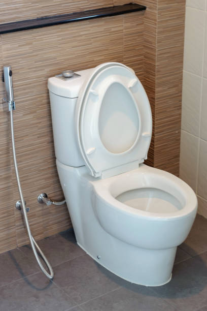 flush toilet made of ceramic Close up the flush toilet made of ceramic in the beautiful design bathroom. flushing valve public restroom toilet stock pictures, royalty-free photos & images