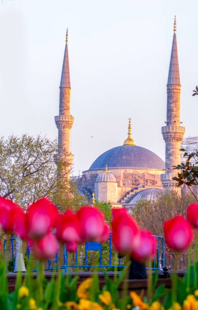 istock The Blue Mosque, (Sultanahmet Camii) with red tulips, Istanbul, Turkey. 1148330810