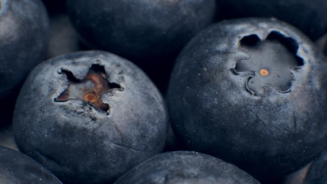Macro Dolly Shot of Fresh Blueberries Grapes Fruit