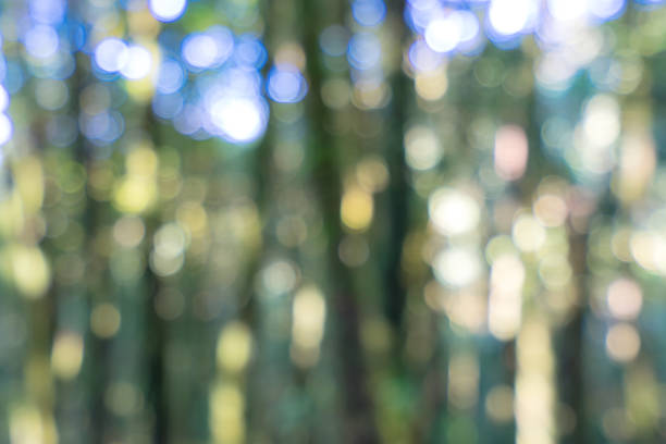 istock abstract natural bokeh light background - can use to display or montage on product 1148340573