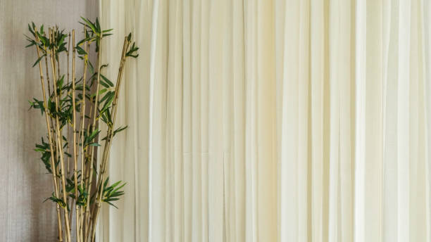 istock ornamental plants in the bedroom 1148345629