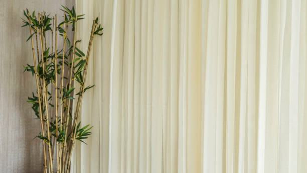 istock ornamental plants in the bedroom 1148345826